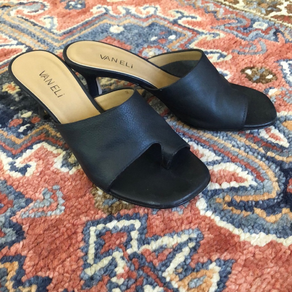 Vaneli Shoes